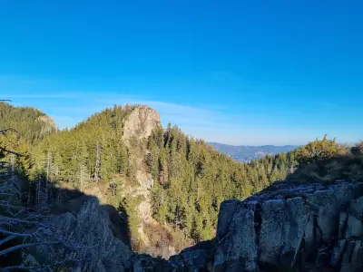 Алпийски тролей