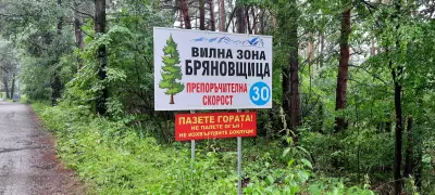 Вилна зона Бряновщица