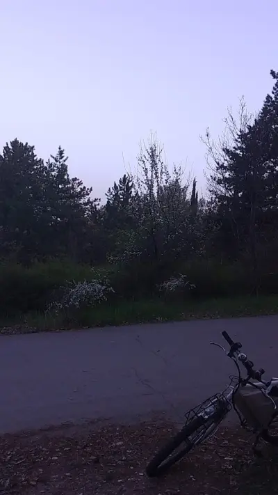 Панорама Аязмо