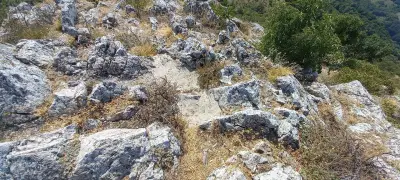 връх Коджа кая