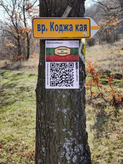 връх Коджа кая