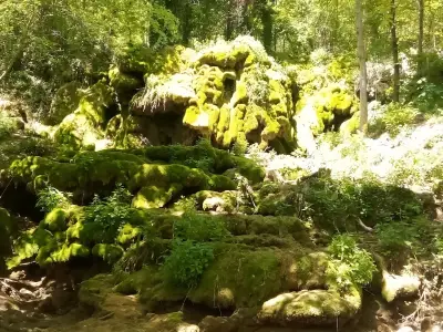 Водопад „Бигора“