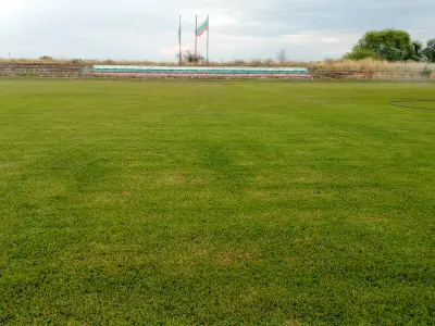 Стадион Ново Село