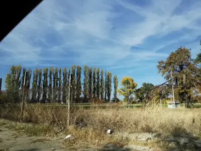 Стадион Куртово Конаре