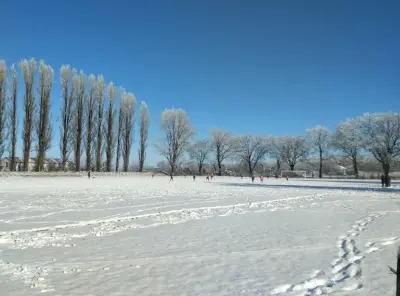 Стадион Куртово Конаре