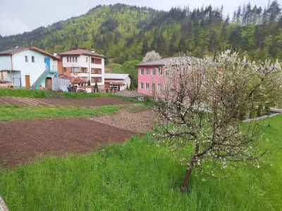 Villa Mollovi