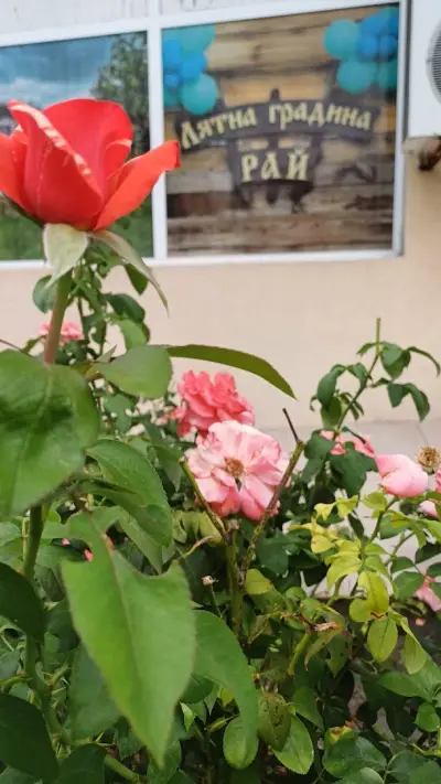 Лятна градина "Рай" с. Кормянско ( village Kormyansko - Sumer Garden ''Paradise'' ) Place for events