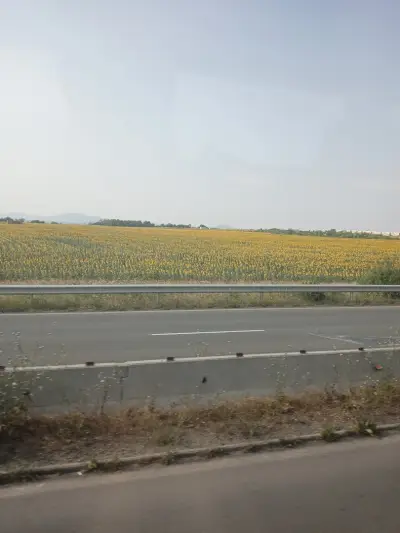 Ресторант Юндола