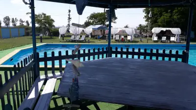 Coco Bongo Pool