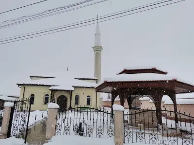 Джамия Брестовене