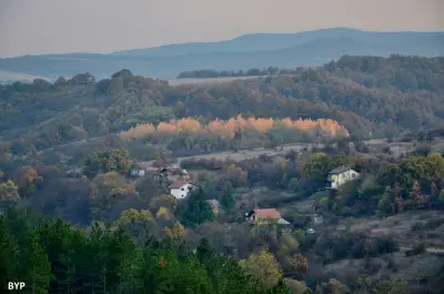 Кметство Златуша