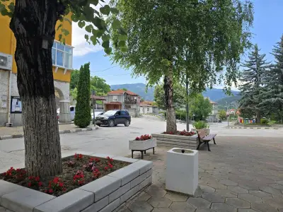 Кметство Павелско