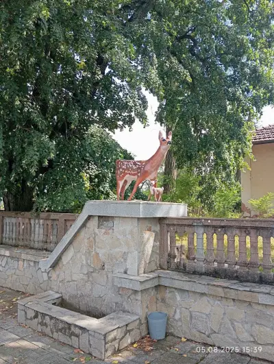 Кметство Шума