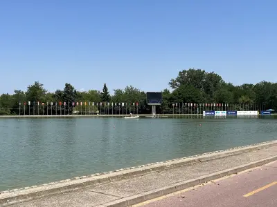 Регата