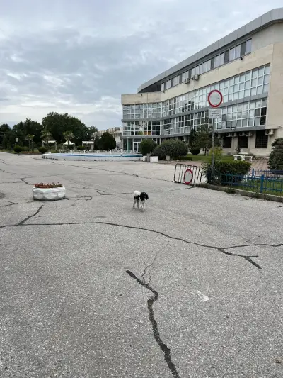 Регата
