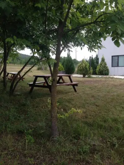 Zlaten Briz Villa