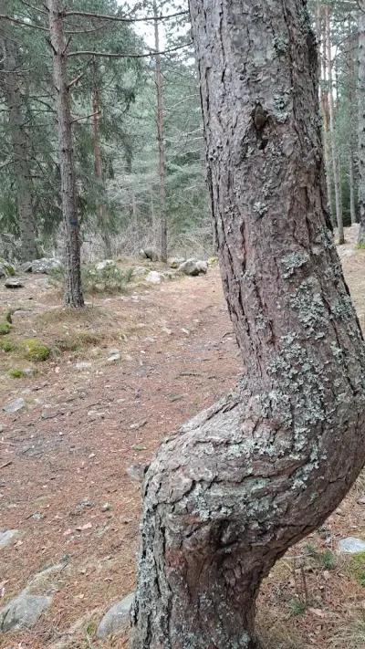 Кът за отдих м. Камъка
