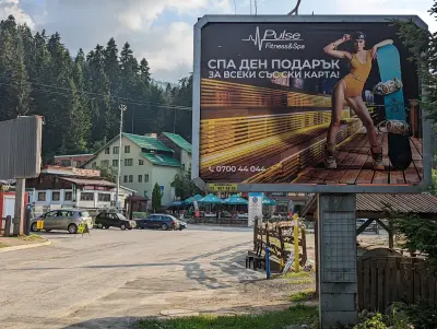 Писта за шейни