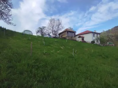 Комплекс Арда