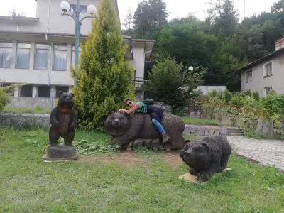 Комплекс Арда