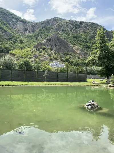 Baba Vanga Turtle Ponds