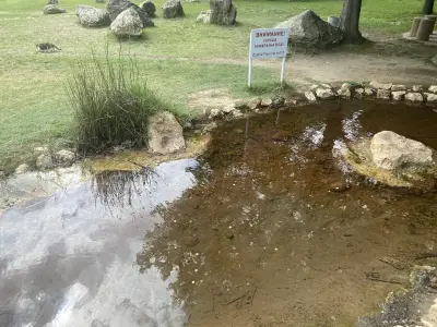 Baba Vanga Turtle Ponds