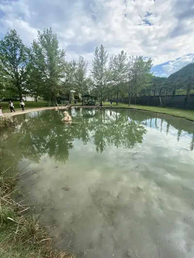 Baba Vanga Turtle Ponds