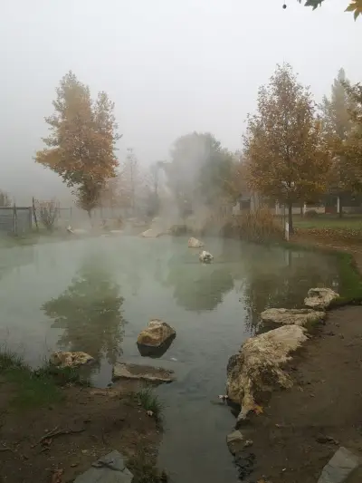 Baba Vanga Turtle Ponds