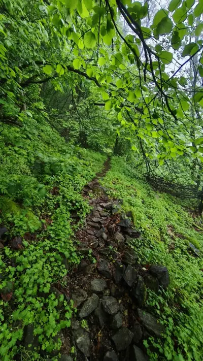 Водопад Дъбицата