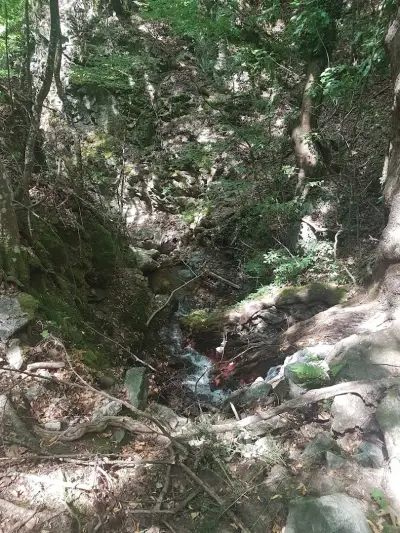 Водопад Дъбицата