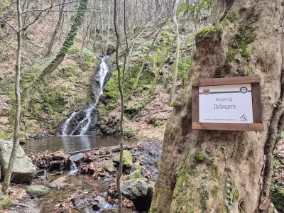 Водопад Дъбицата