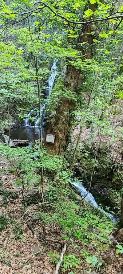 Водопад Дъбицата