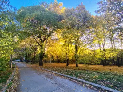 Карлово на длан
