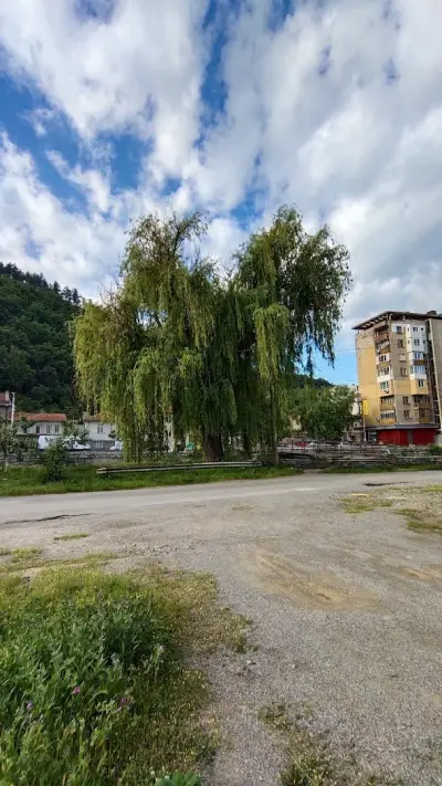 Черква "Света Богородица"