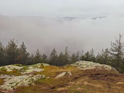 Маркови скали