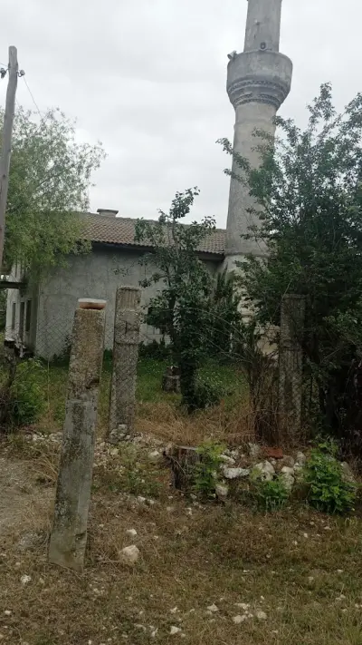Джамия Окорш