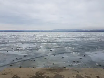 Меркурии
