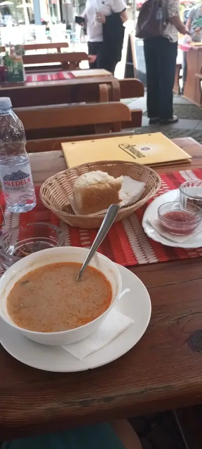 Дървото