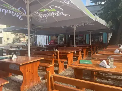 Дървото