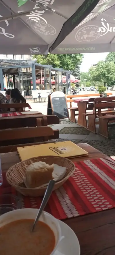 Дървото