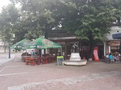 Дървото