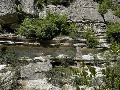 Вкаменената Гора
