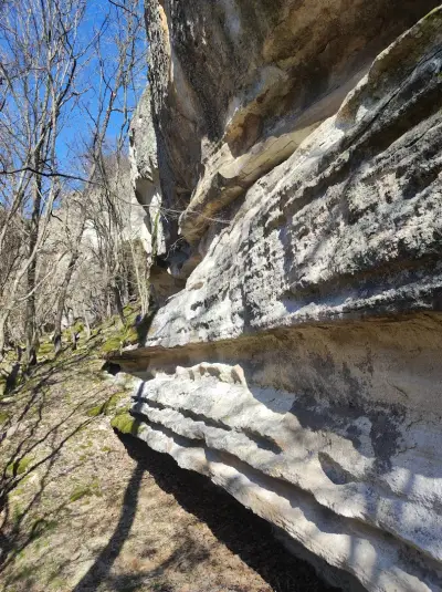 Вкаменената Гора