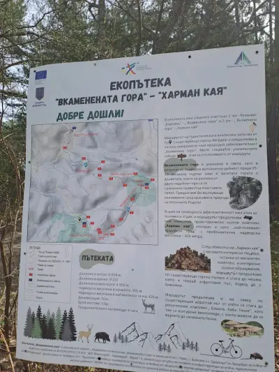 Вкаменената Гора