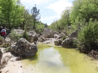Вкаменената Гора