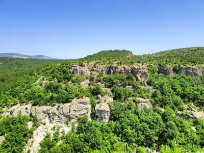 Вкаменената Гора
