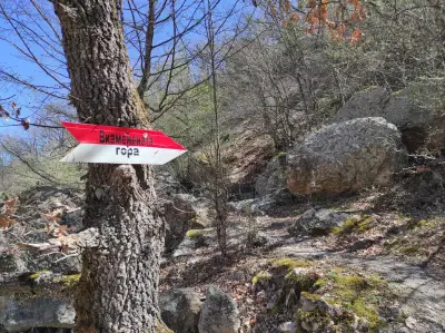Вкаменената Гора