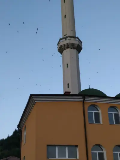 Джамия Буково