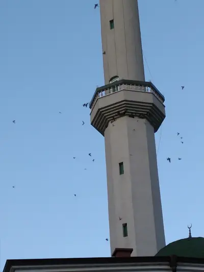 Джамия Буково