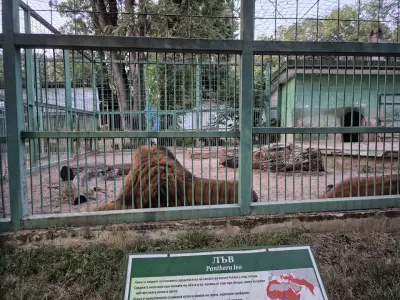 Зоокът